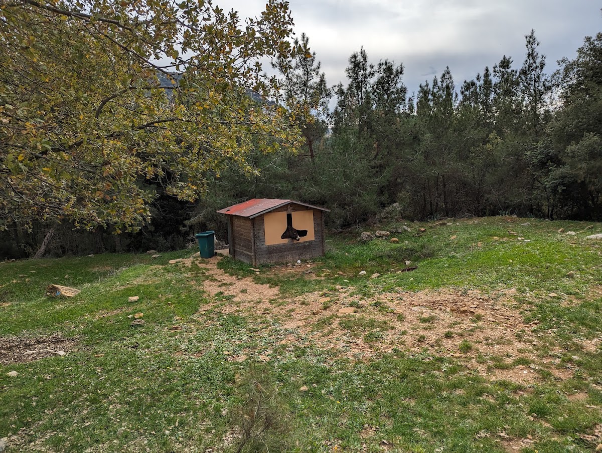 Donkey Al Marbad — photograph 3