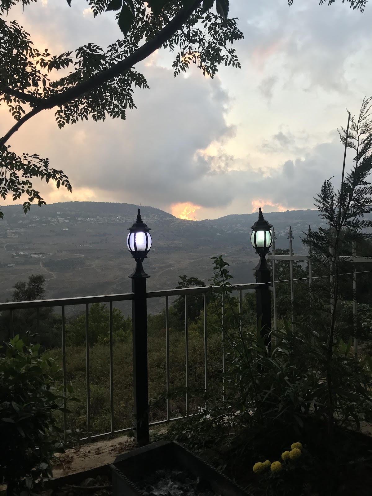 Ayn al areesh garden cafè — photograph 6