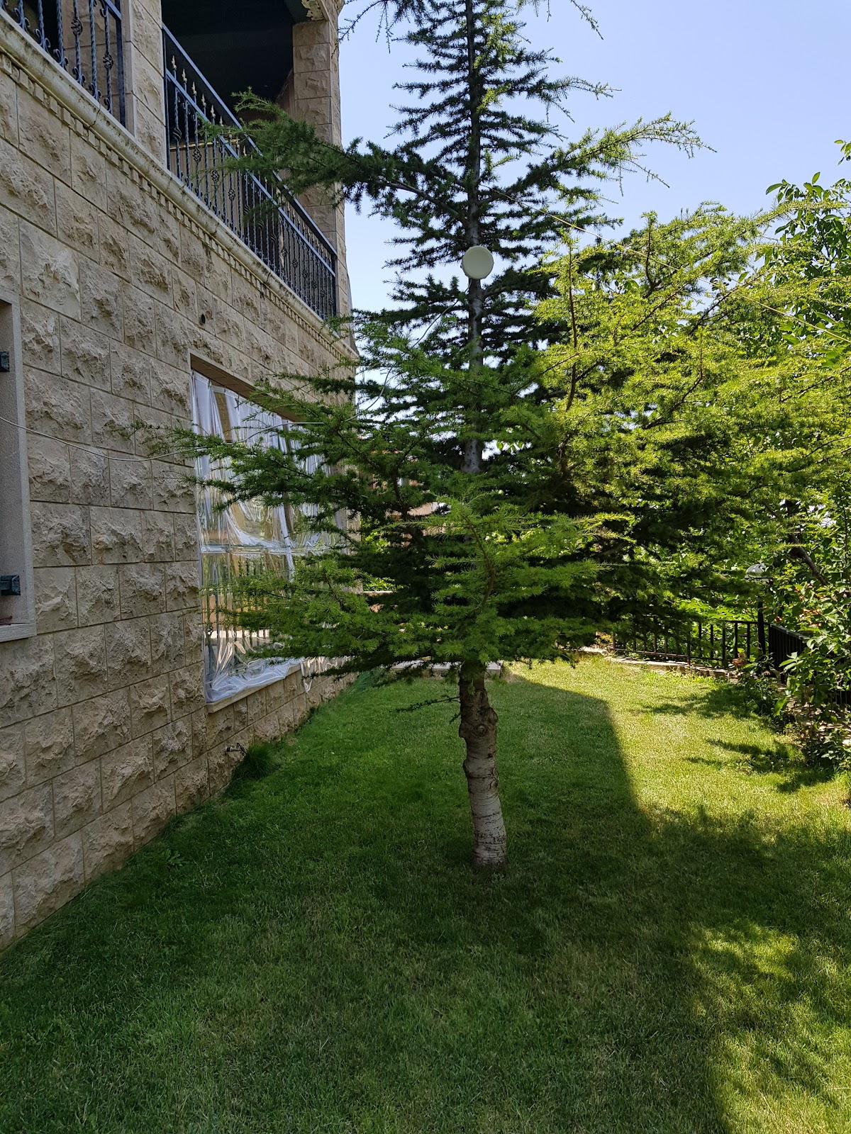 Mresty Guest House