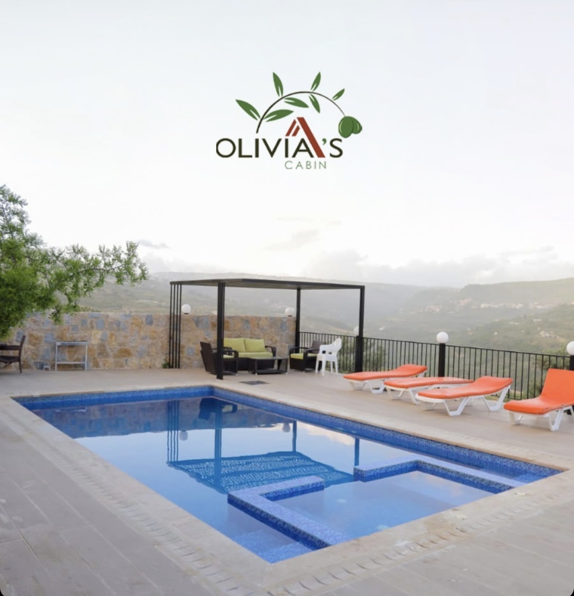 Olivia's Paradise — photograph 3