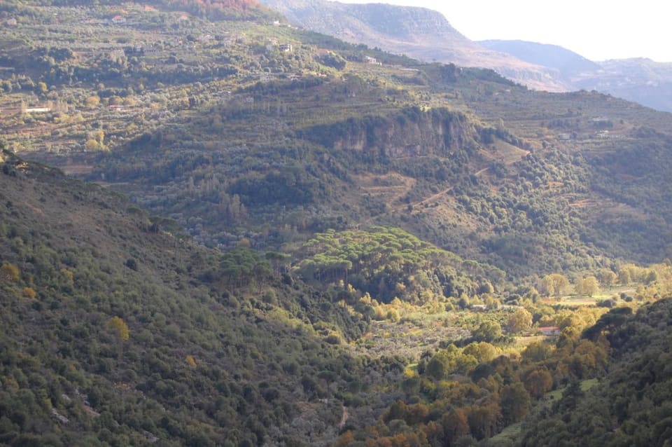 Marj Bisri Hiking Trail