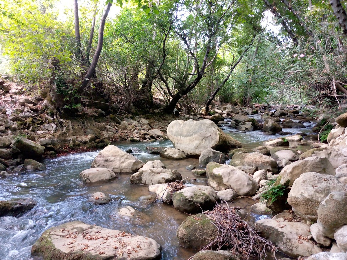 Marj Bisri Hiking Trail — photograph 2