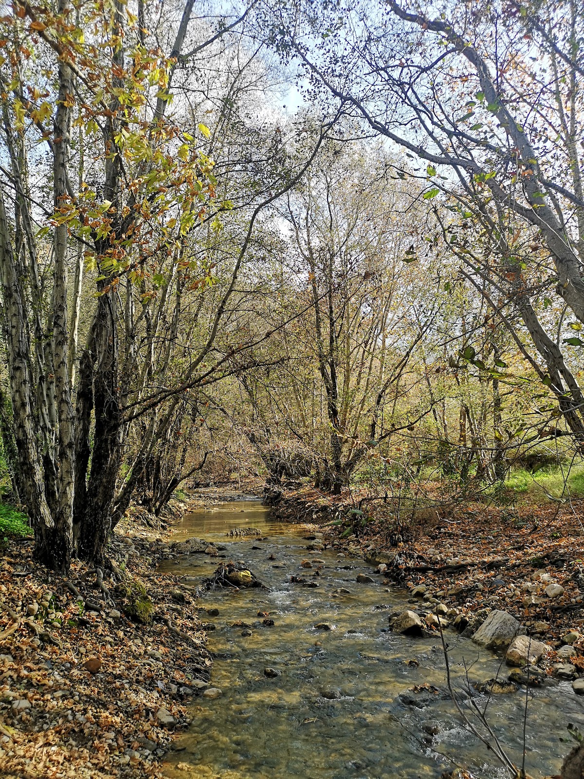 Marj Bisri Hiking Trail — photograph 3