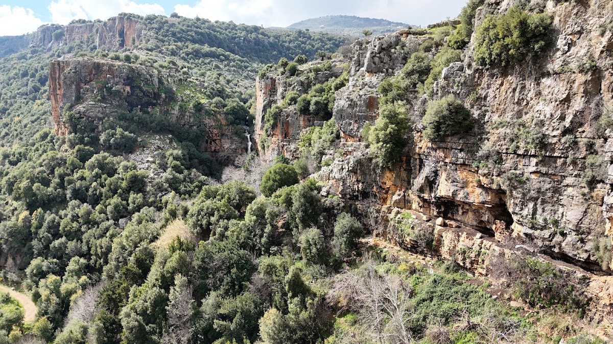 شلال لوكال — photograph 2