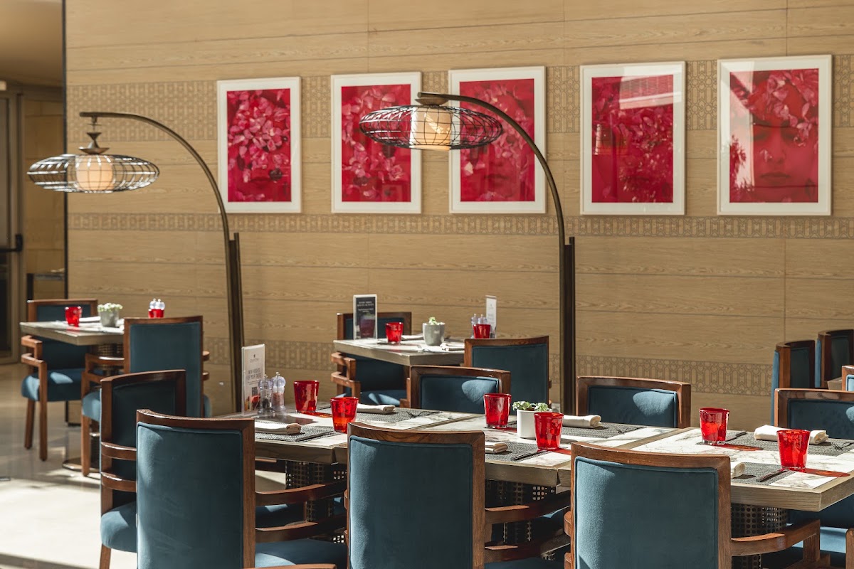 Cilantro Restaurant & Terrace — photograph 4
