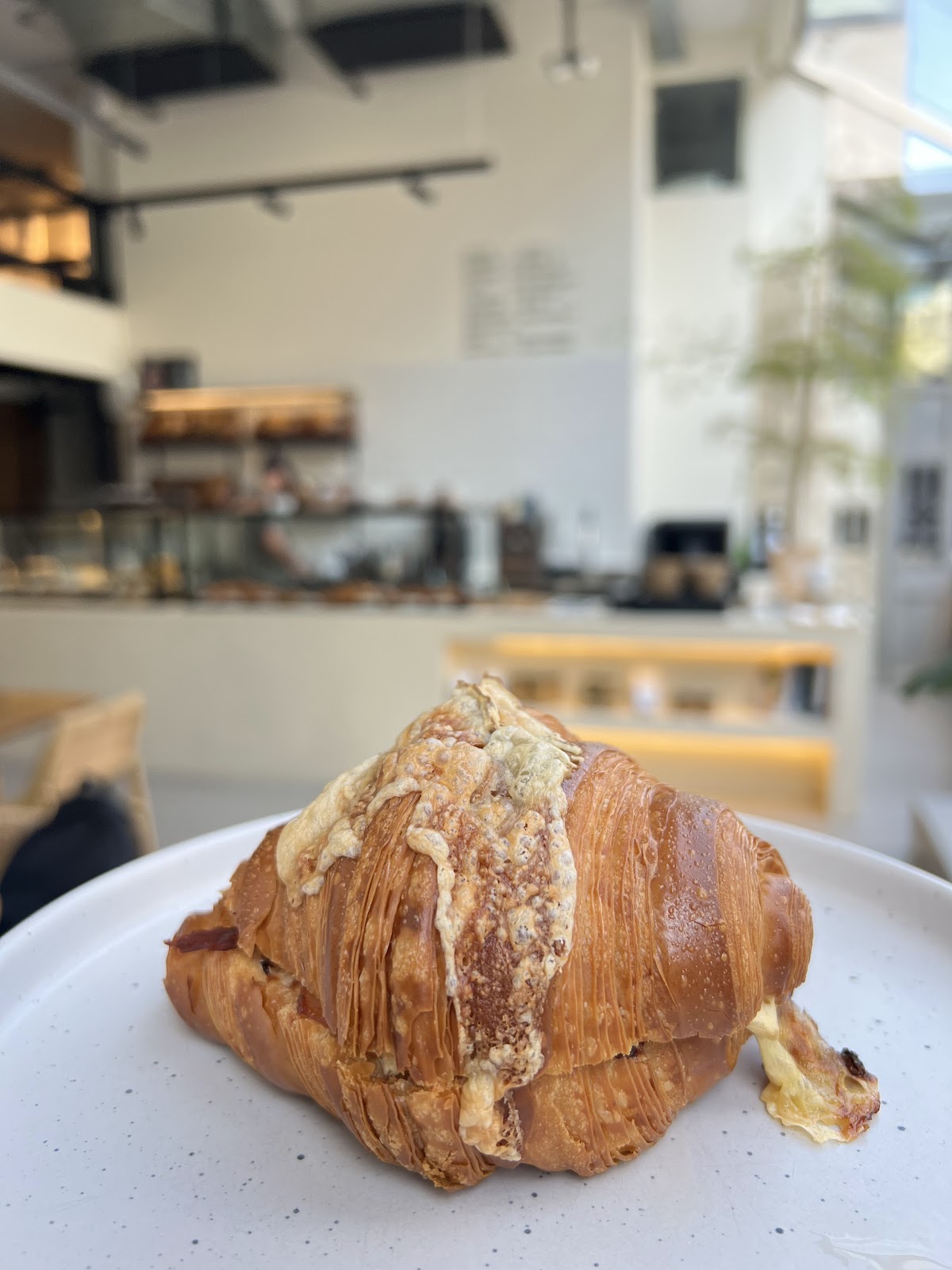 Vanilla Bean - The bakery — photograph 4