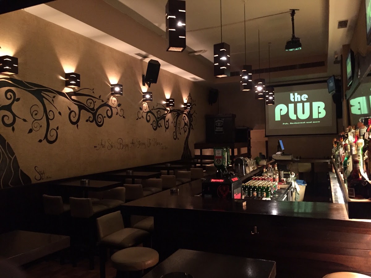 The Plub — photograph 2