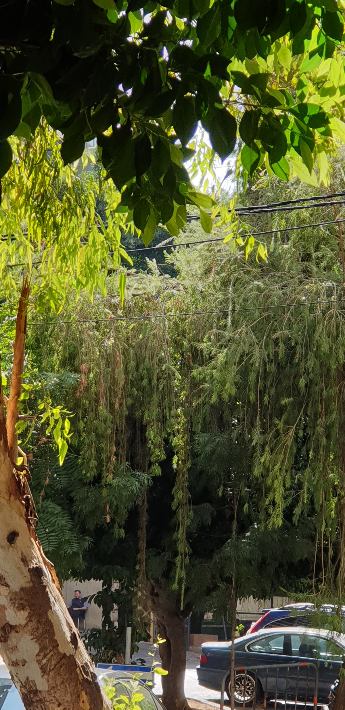 Achrafieh 2BD Garden Apartment — photograph 3