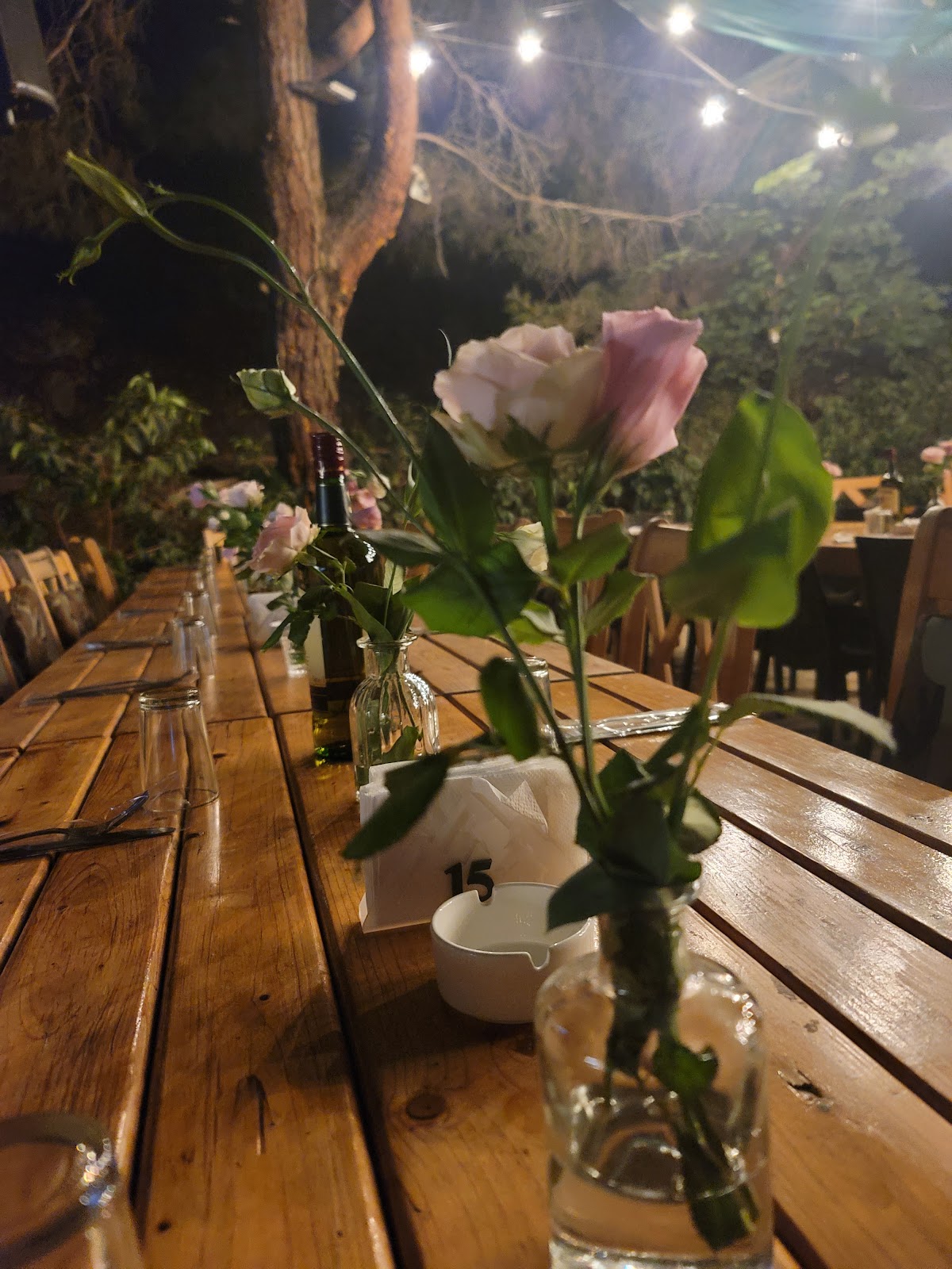 Alma Del Bosque — photograph 6