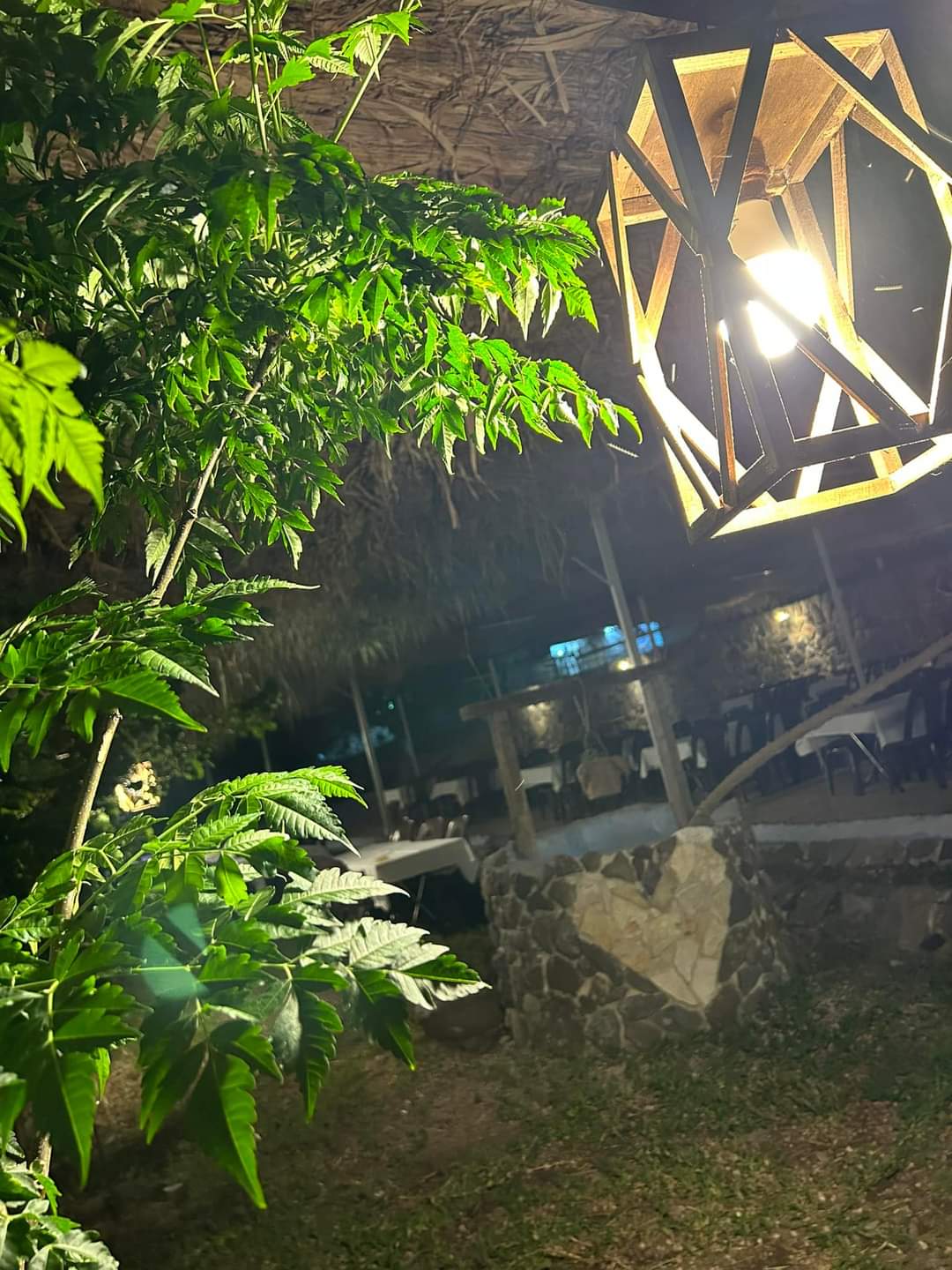 shallal al samak restaurant — photograph 4