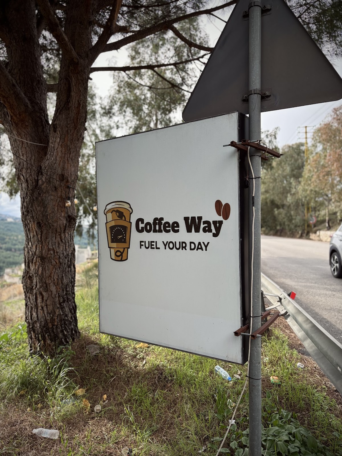 Coffee way — photograph 4