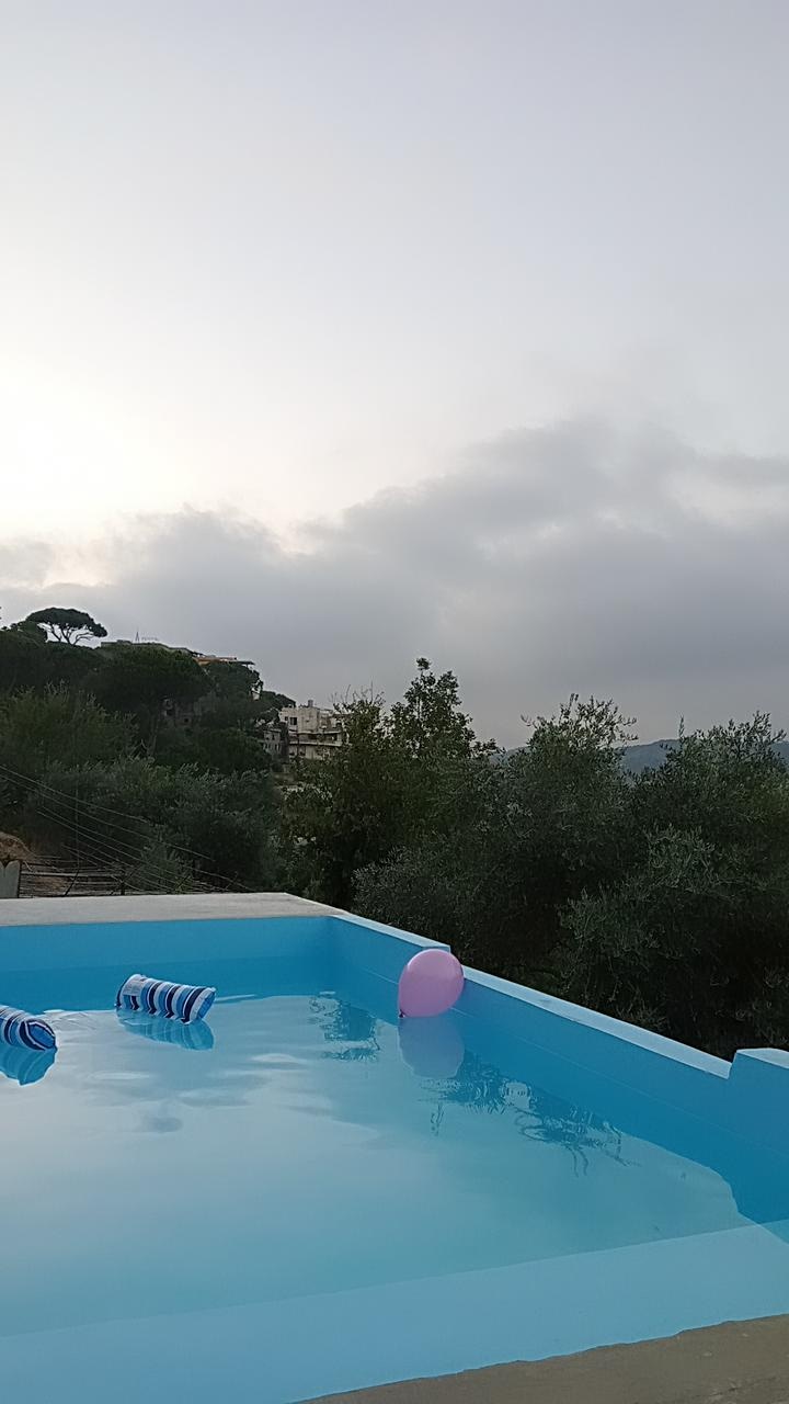 Olive Land