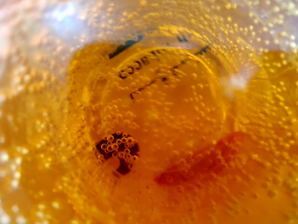 ADNAN COFFE — photograph 4