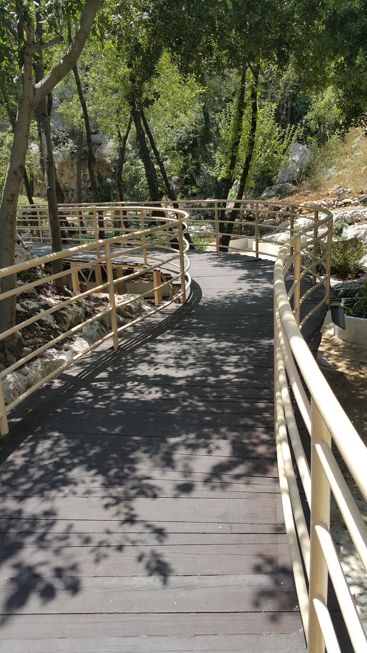 تلال السحر — photograph 4