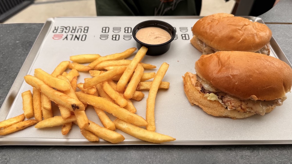 Only burger — photograph 2