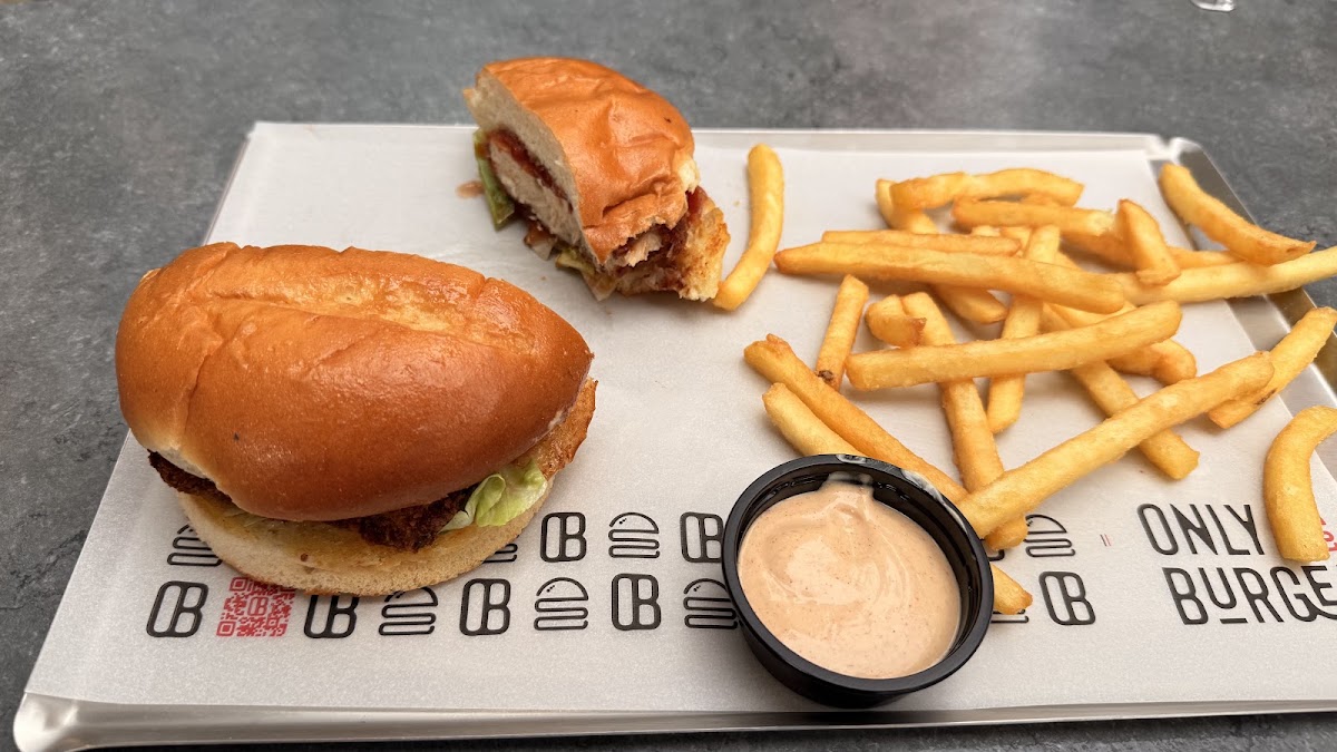 Only burger — photograph 3