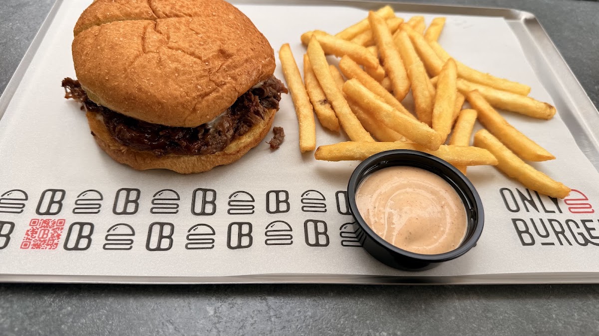 Only burger — photograph 5