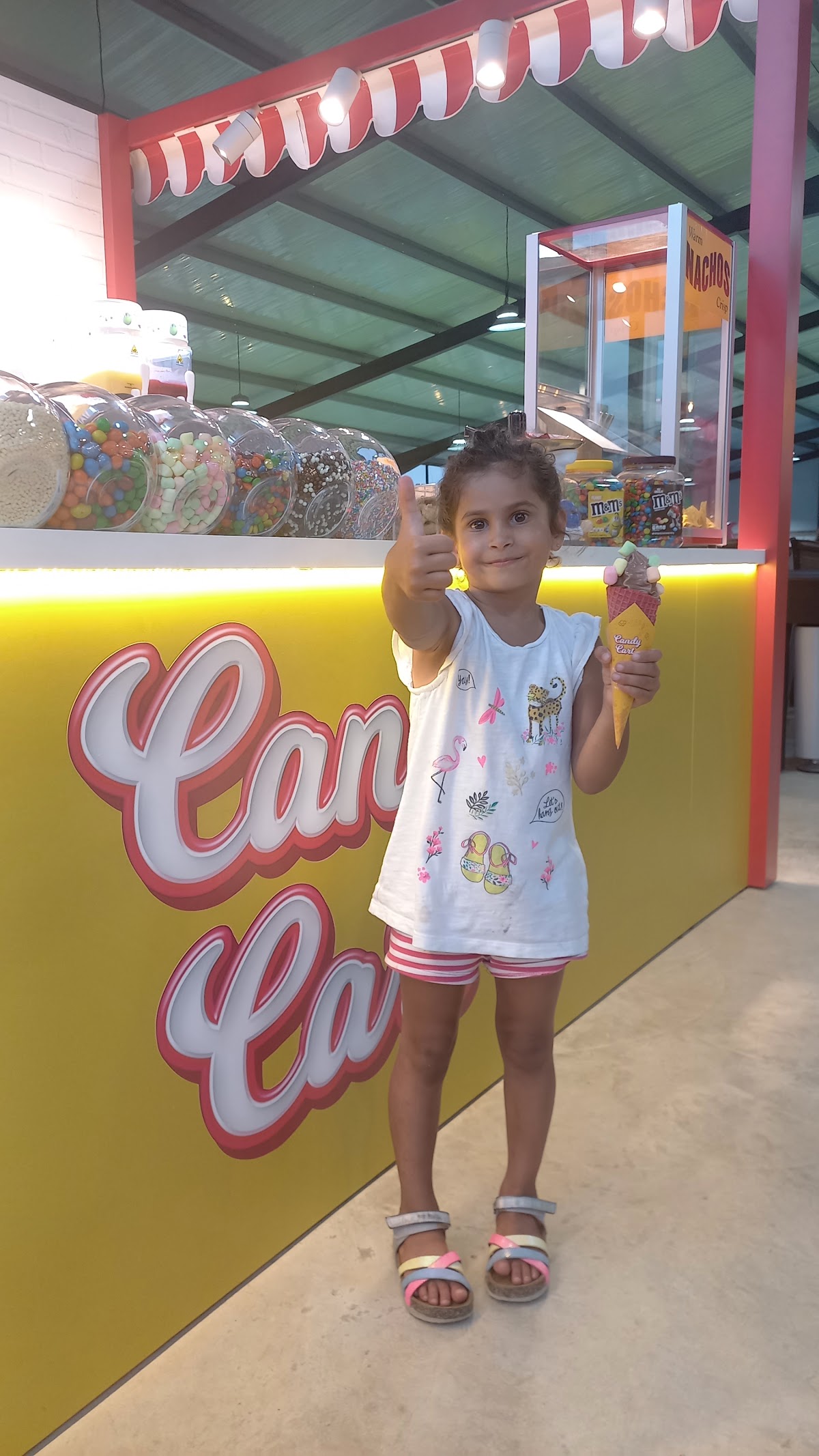 Candy Cart — photograph 6