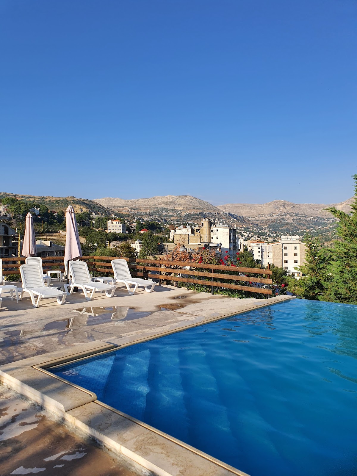 Villars lebanon — photograph 3