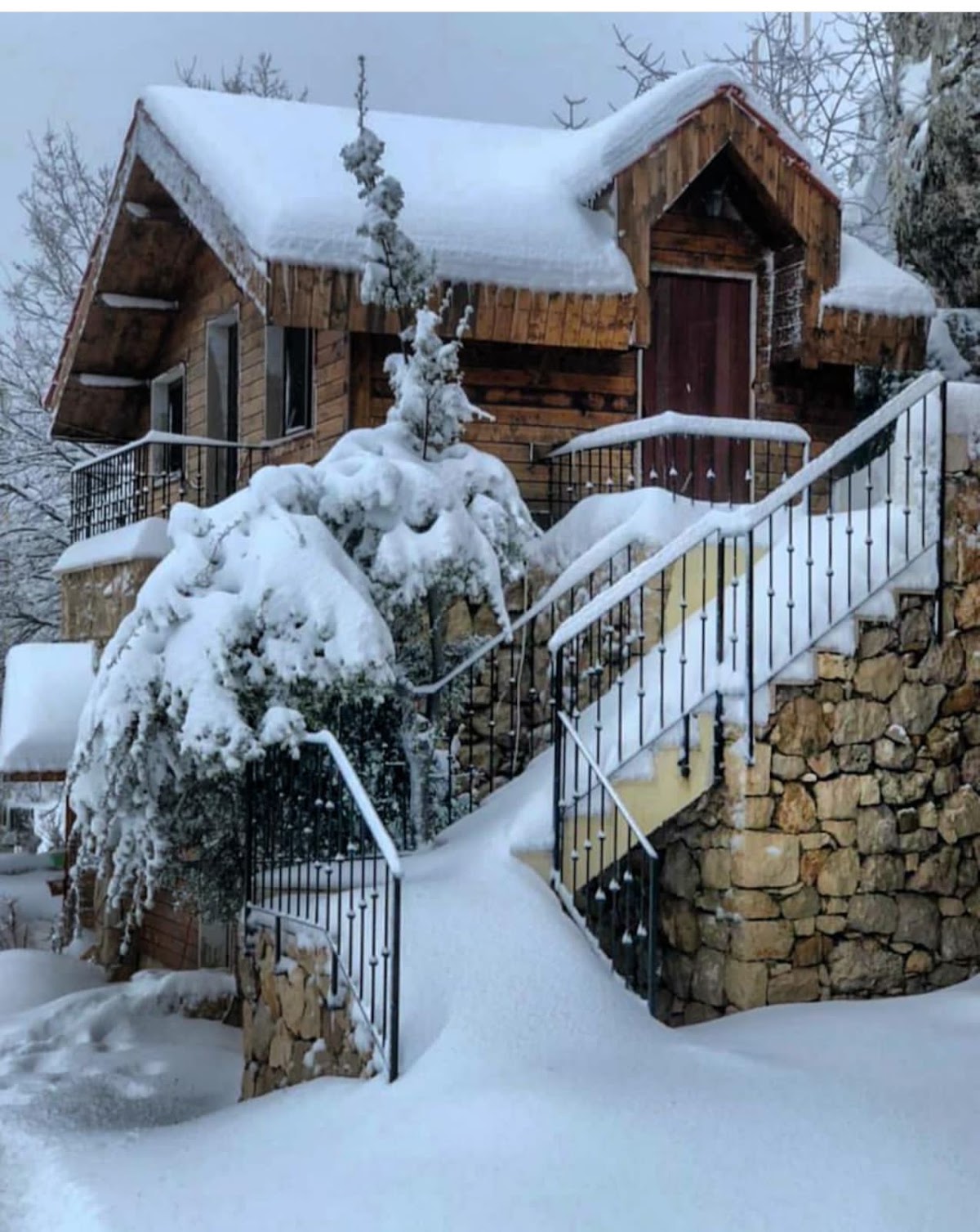 Villars lebanon — photograph 5