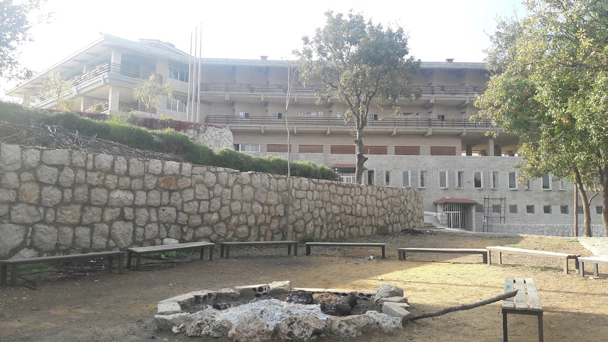 Sayyidet Al Nour — photograph 4