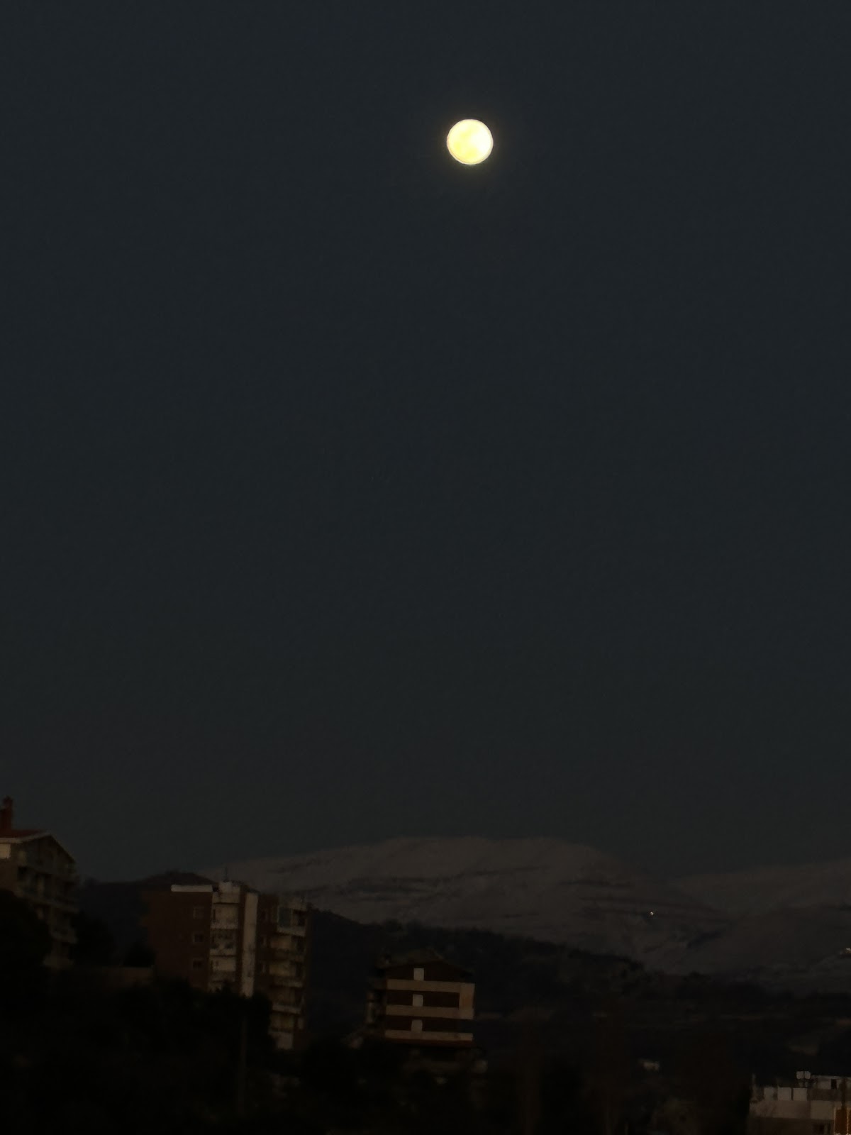 Sayyidet Al Nour — photograph 6