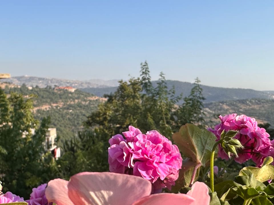Nazha s garden
