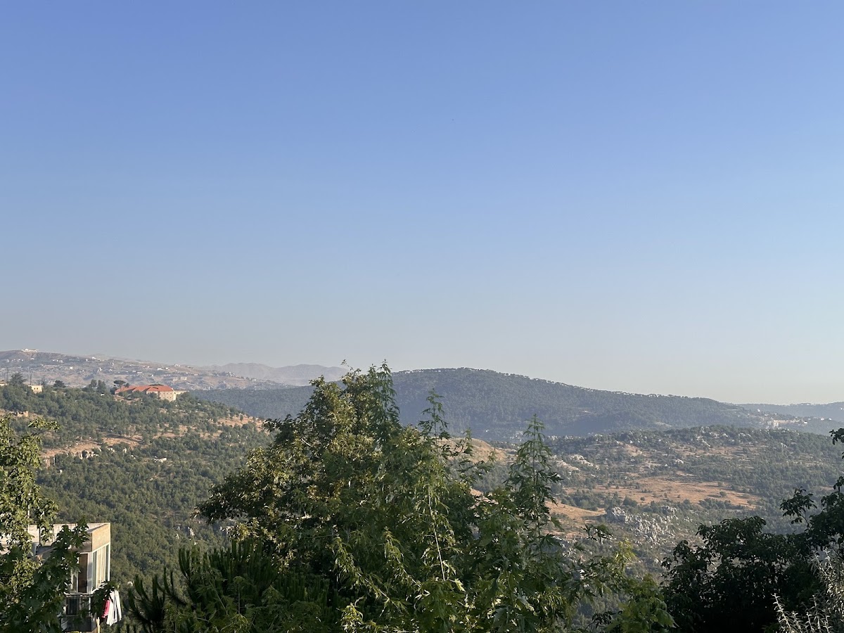 Nazha s garden — photograph 2