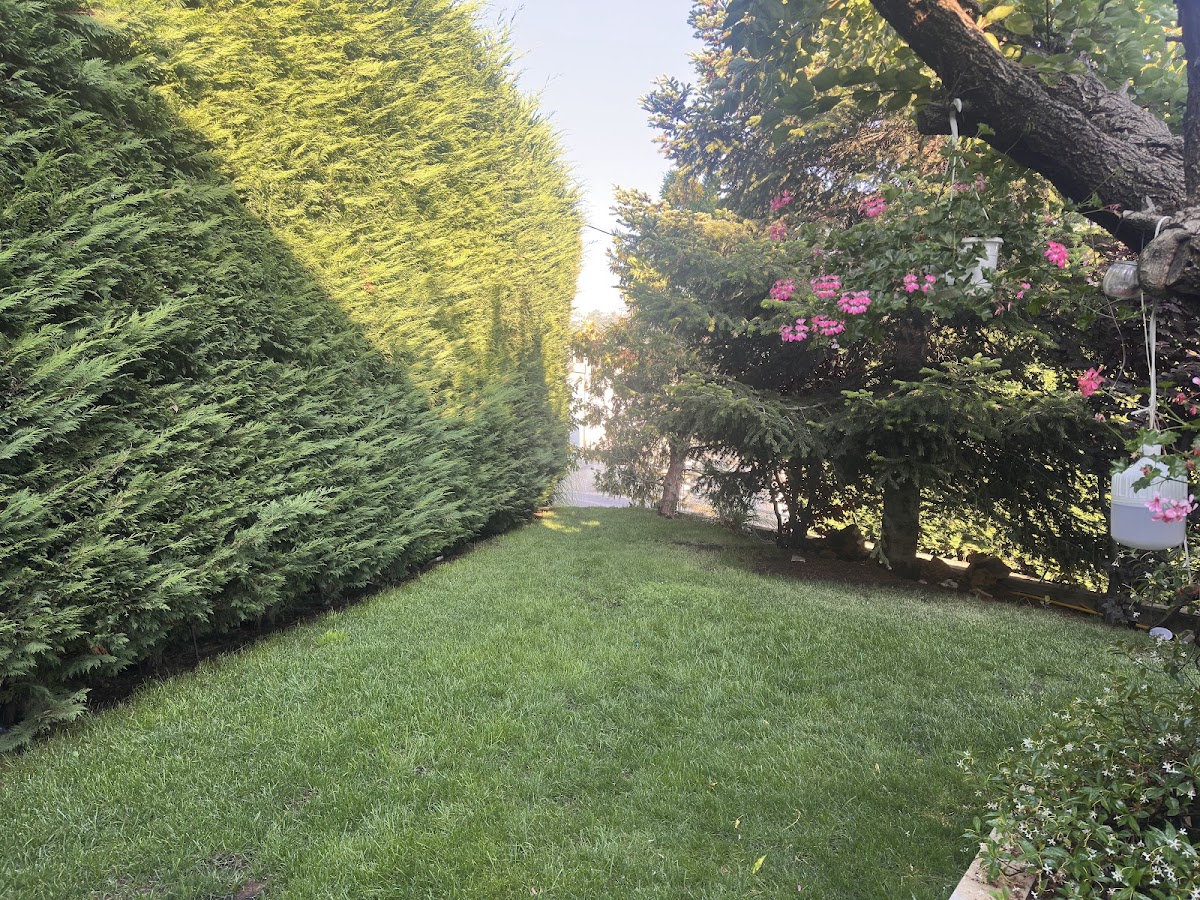 Nazha s garden — photograph 3
