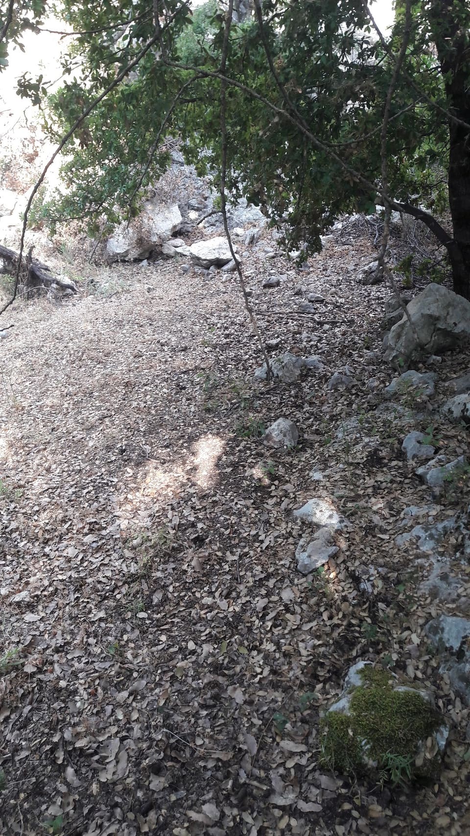 Zeraaya camping site
