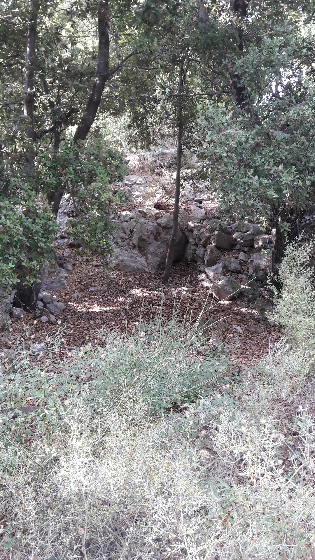 Zeraaya camping site — photograph 2