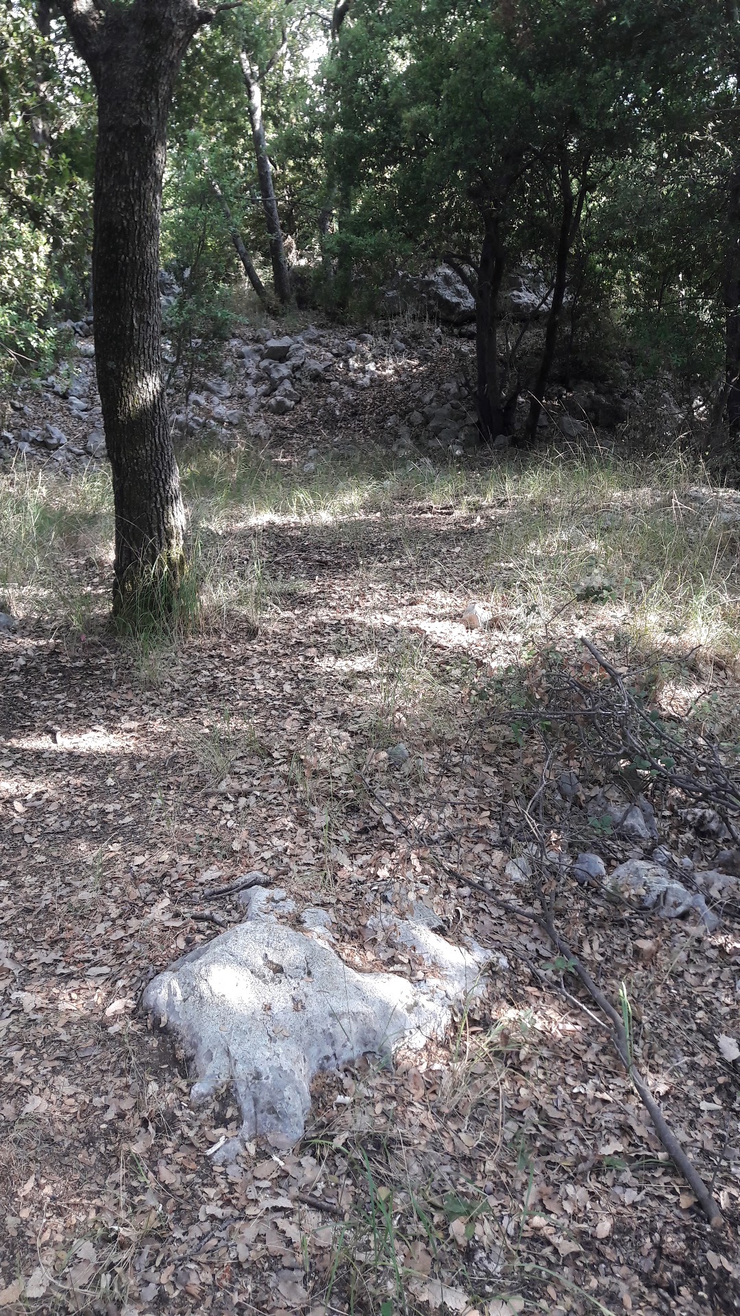 Zeraaya camping site — photograph 3