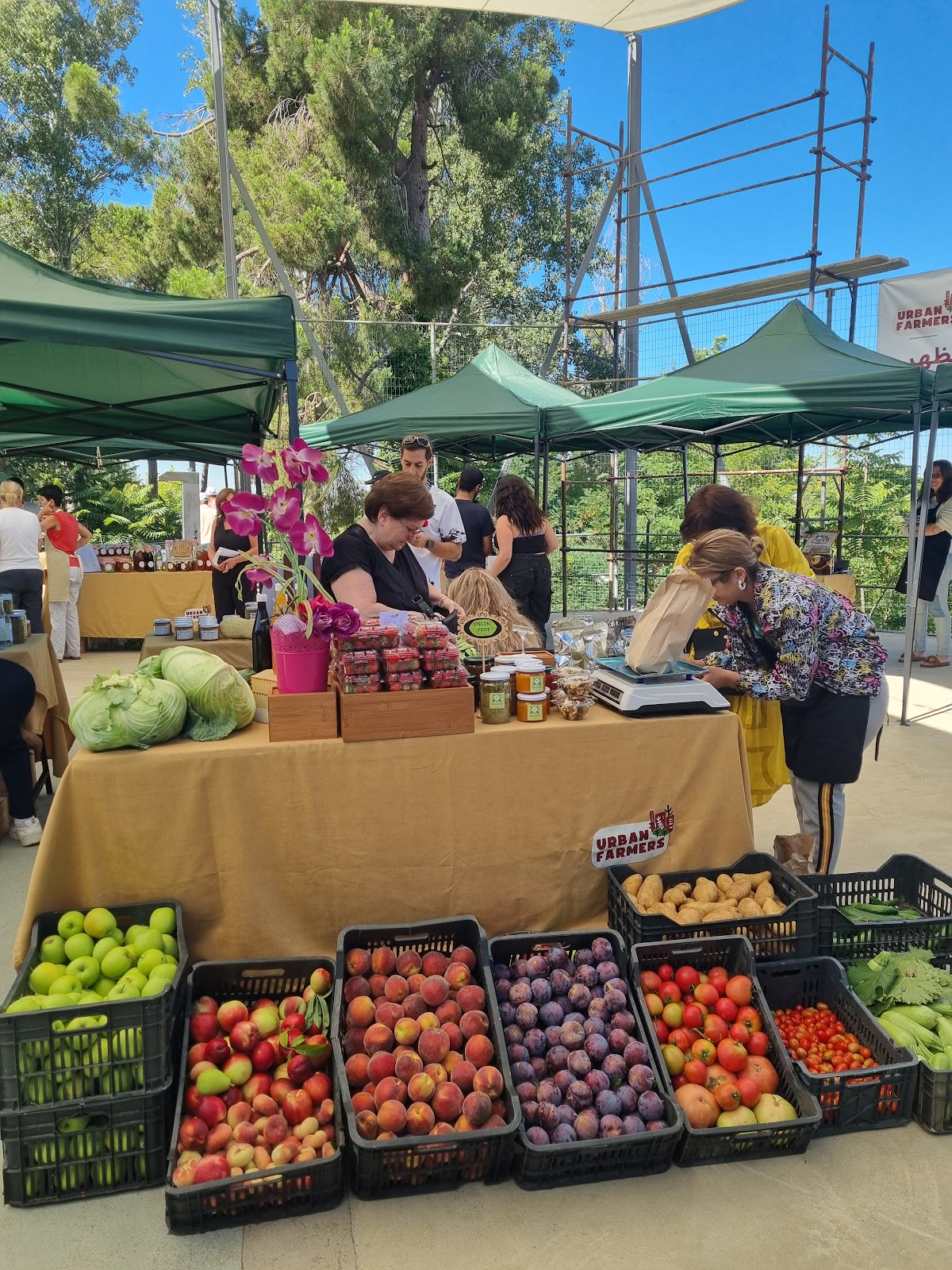 Rayfoun Urban Farmers Market