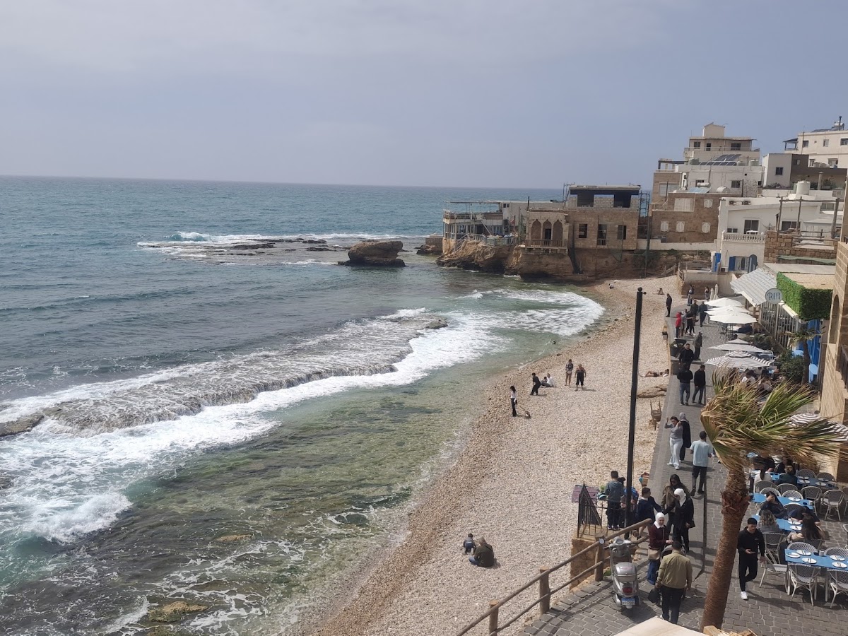 Salma Batroun — photograph 3