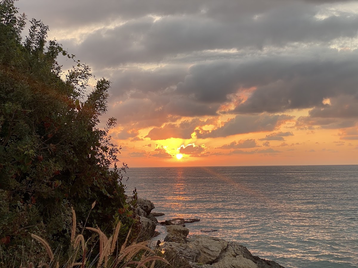 Almaza Bay — photograph 6
