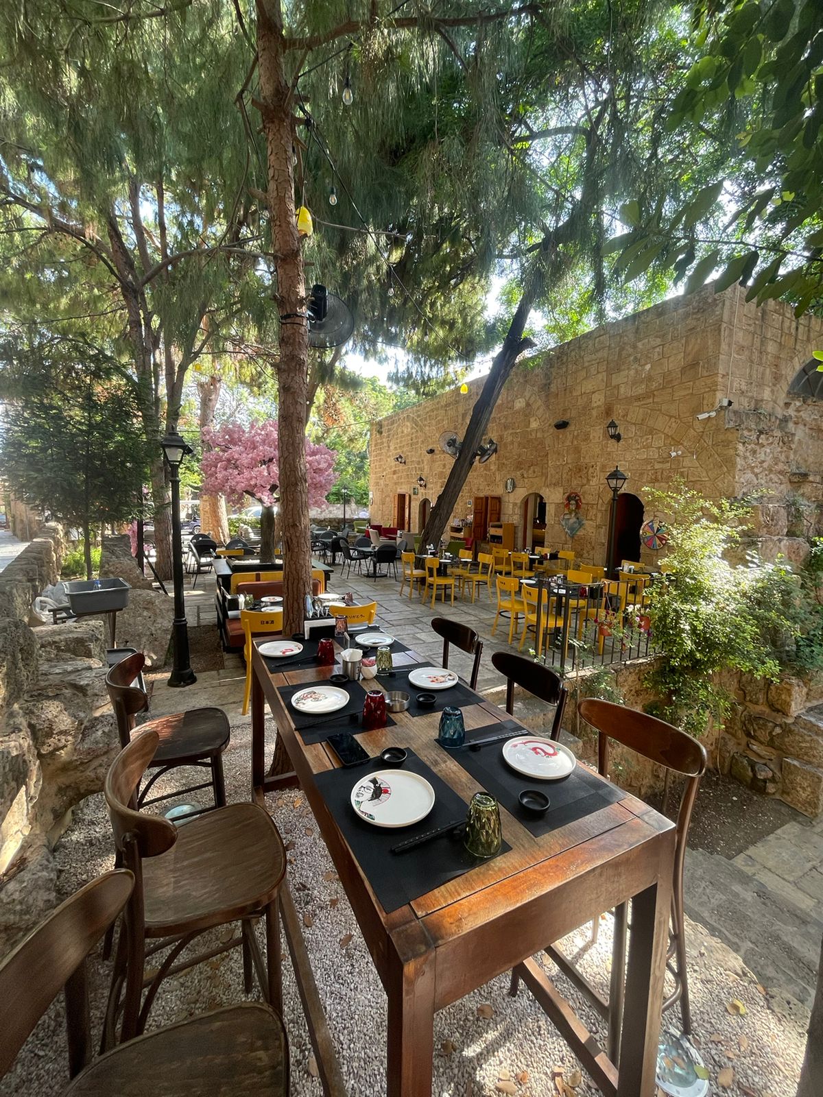 Obi Sushi Batroun