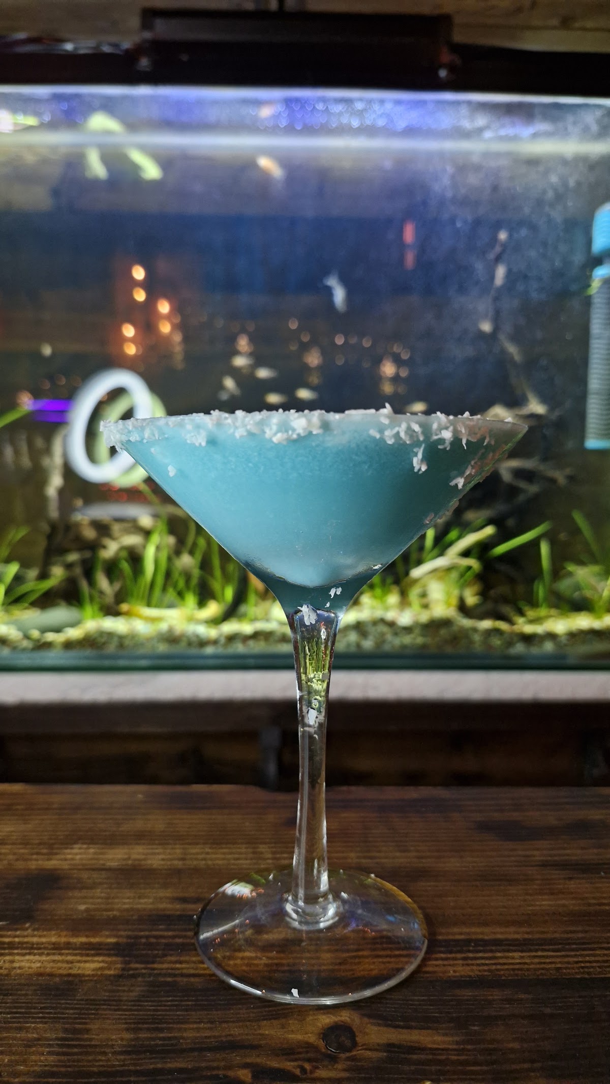 The Designers Bar — photograph 2