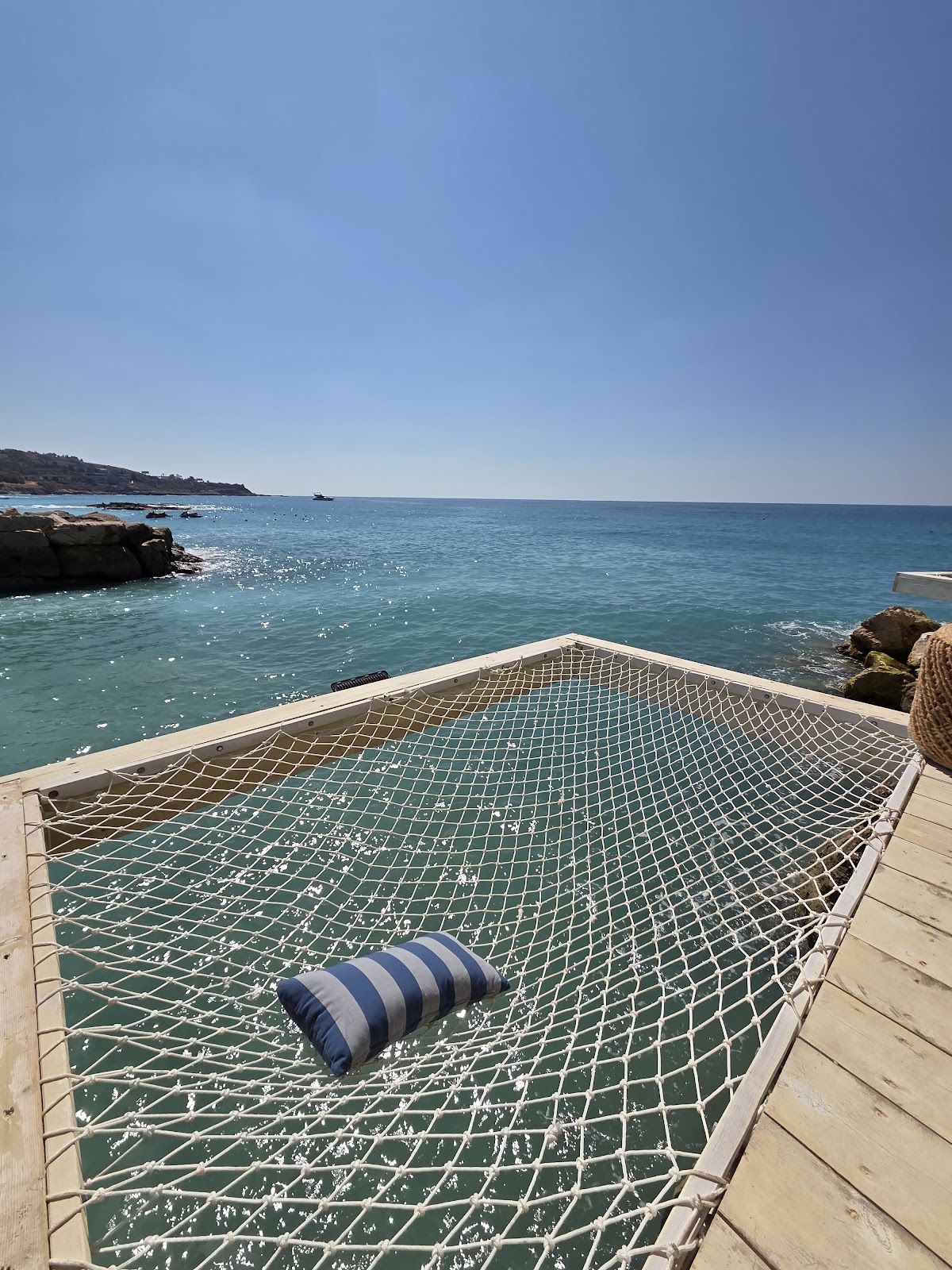 Oursin Batroun — photograph 2