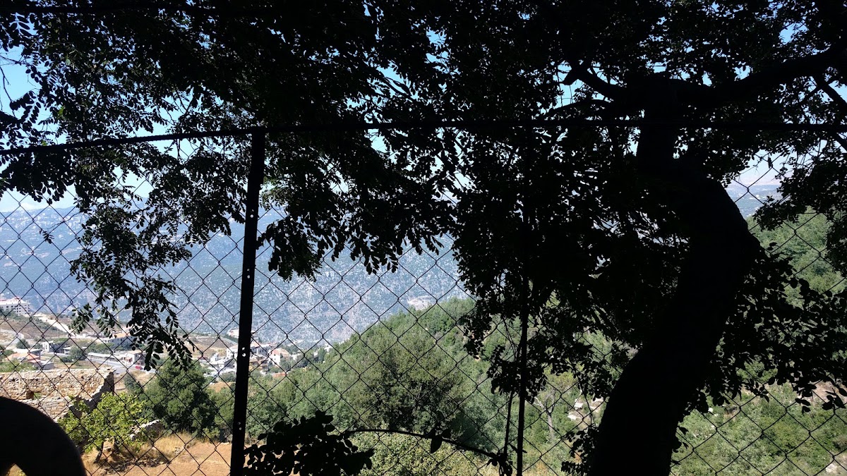 Restaurant Ain El Sarfad — photograph 5
