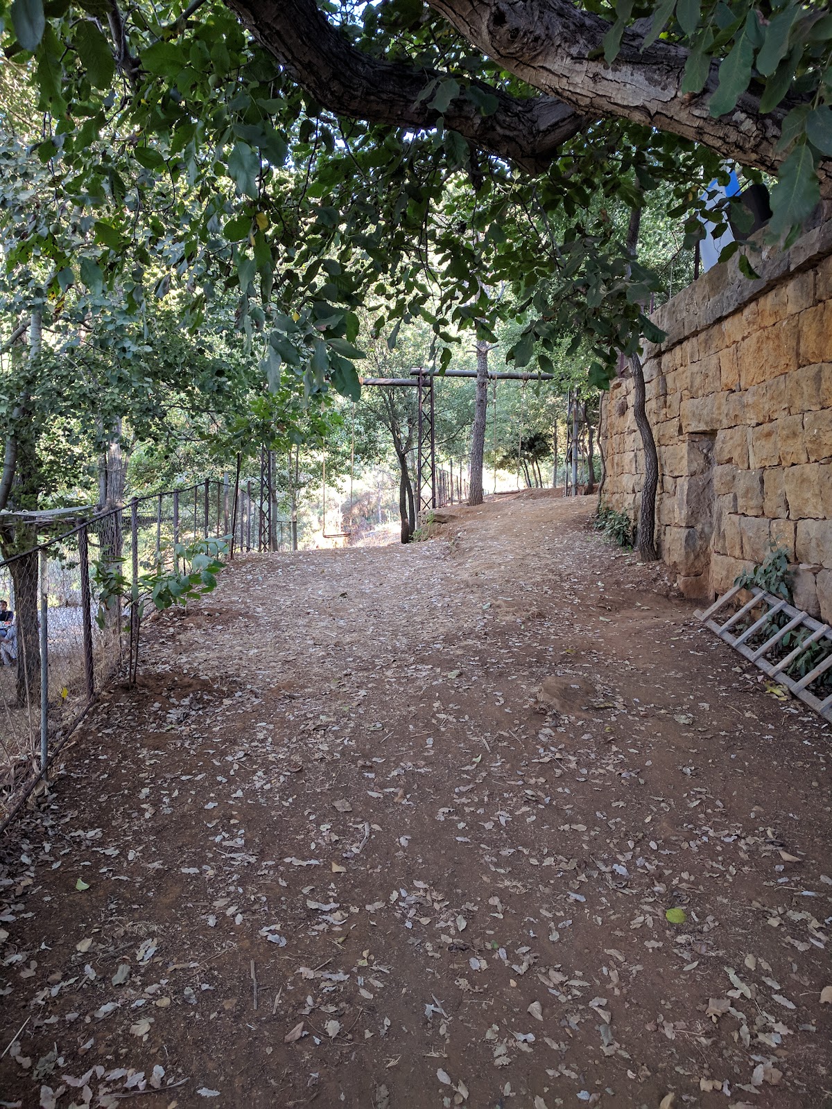 Restaurant Ain El Sarfad — photograph 6
