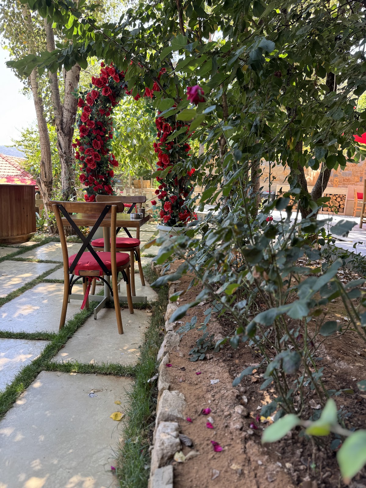 فورست روز — photograph 5