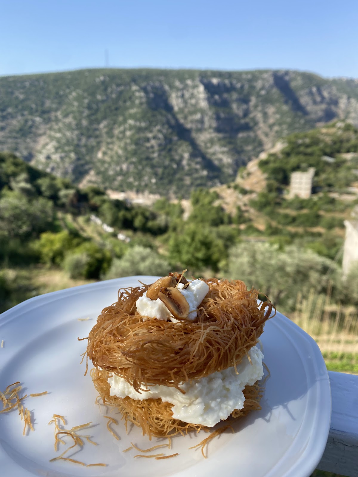 Al Ain Restaurant, Abou Mizan — photograph 3