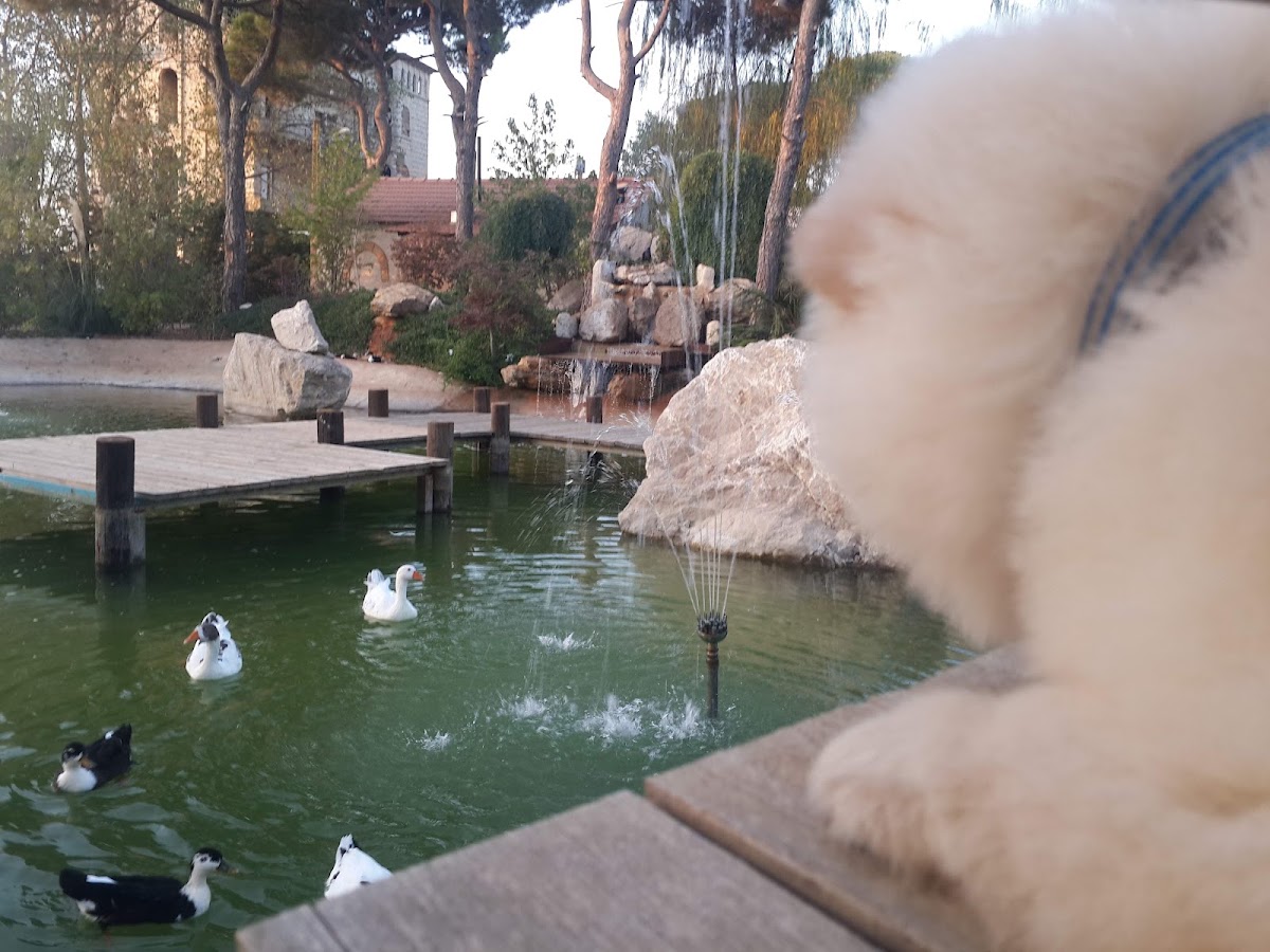 La Vie En rose Garden — photograph 5
