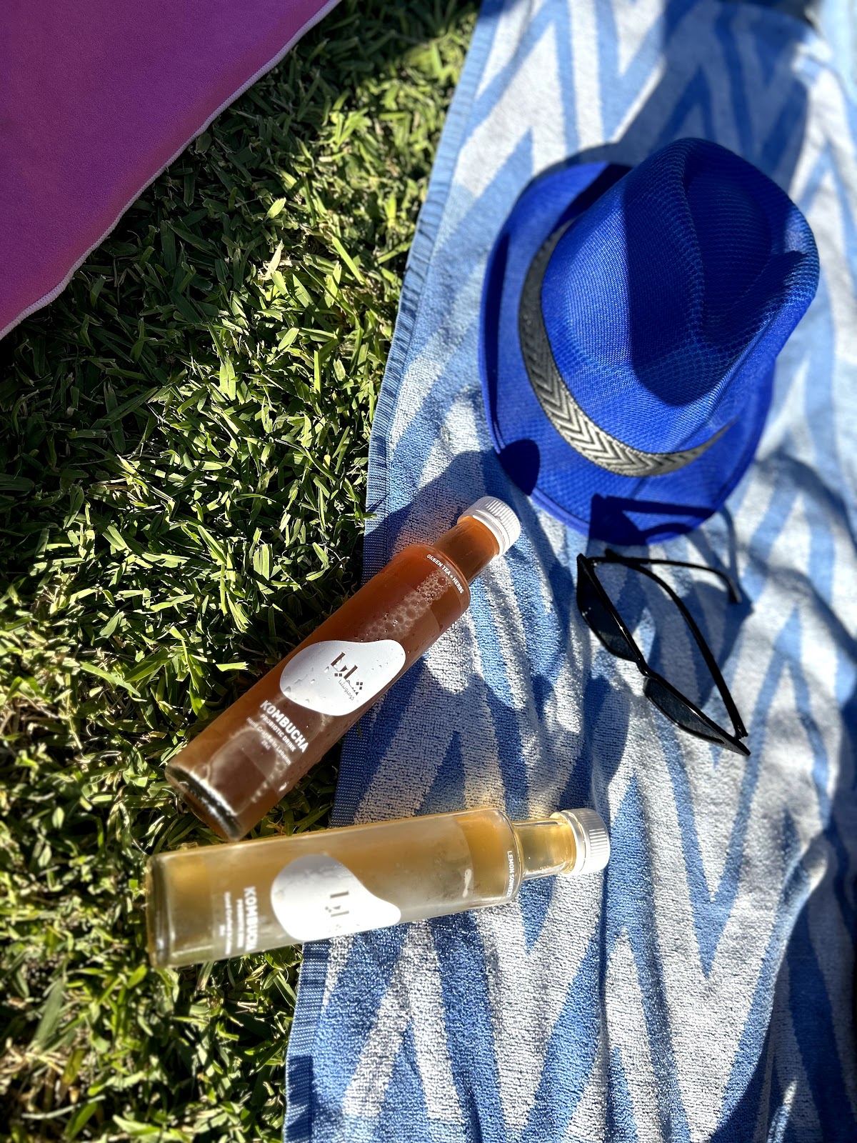 Shaya Kombucha — photograph 4