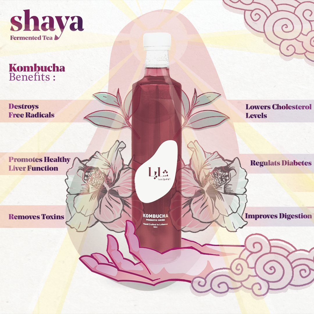 Shaya Kombucha — photograph 6