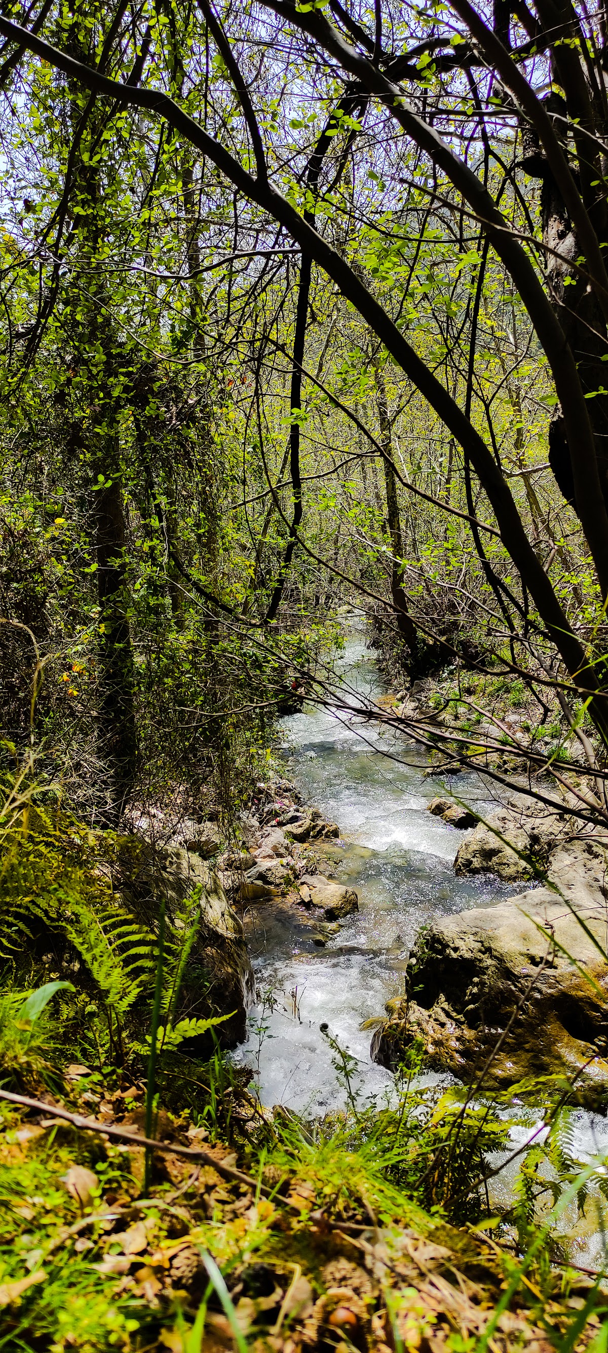 Wadi El Salib — photograph 4
