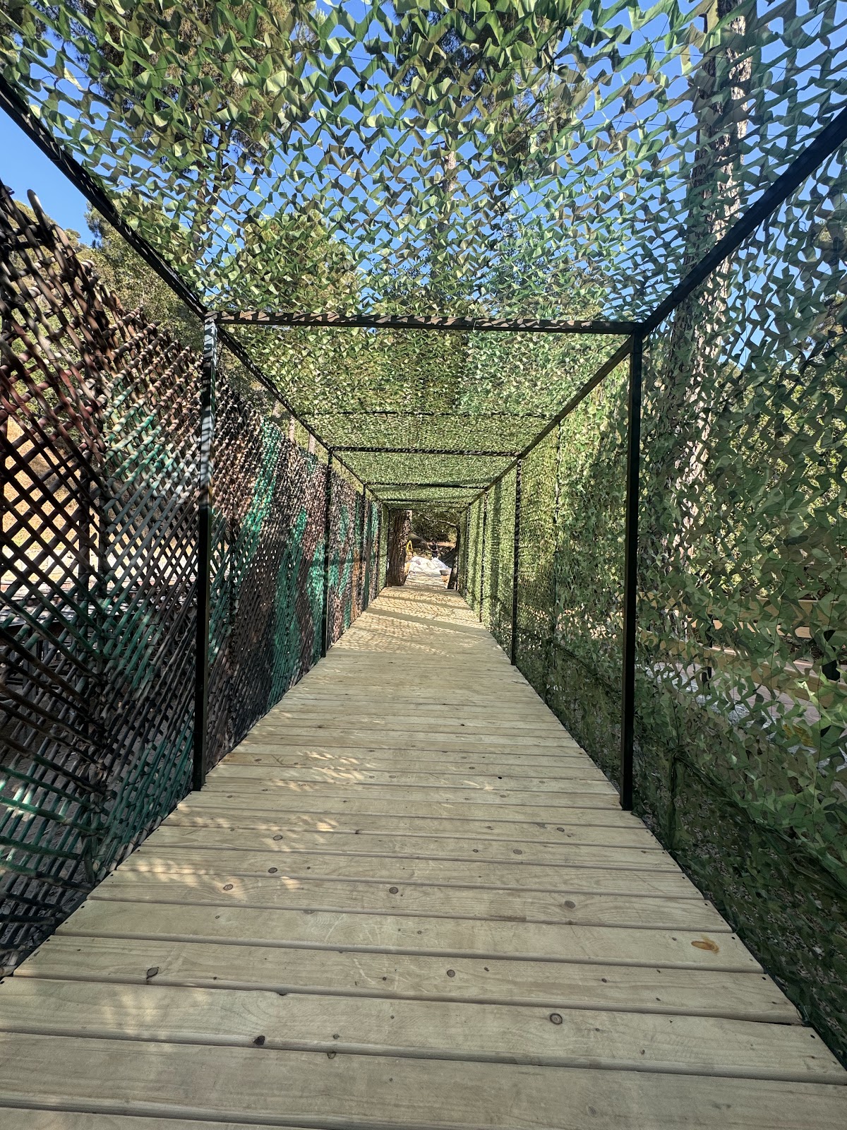 Hillhout Lasertag — photograph 3