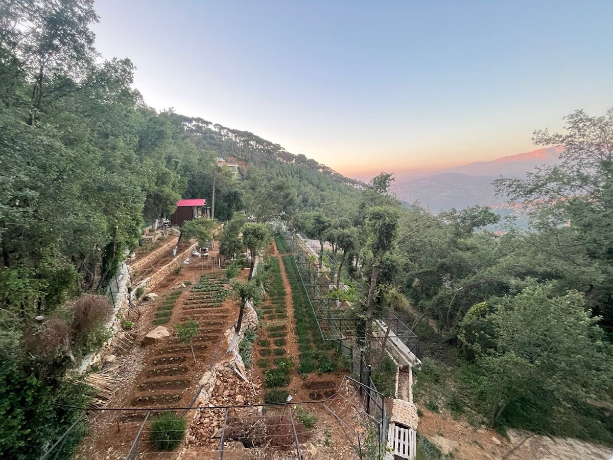Khairat Ain Al Qassis — photograph 4