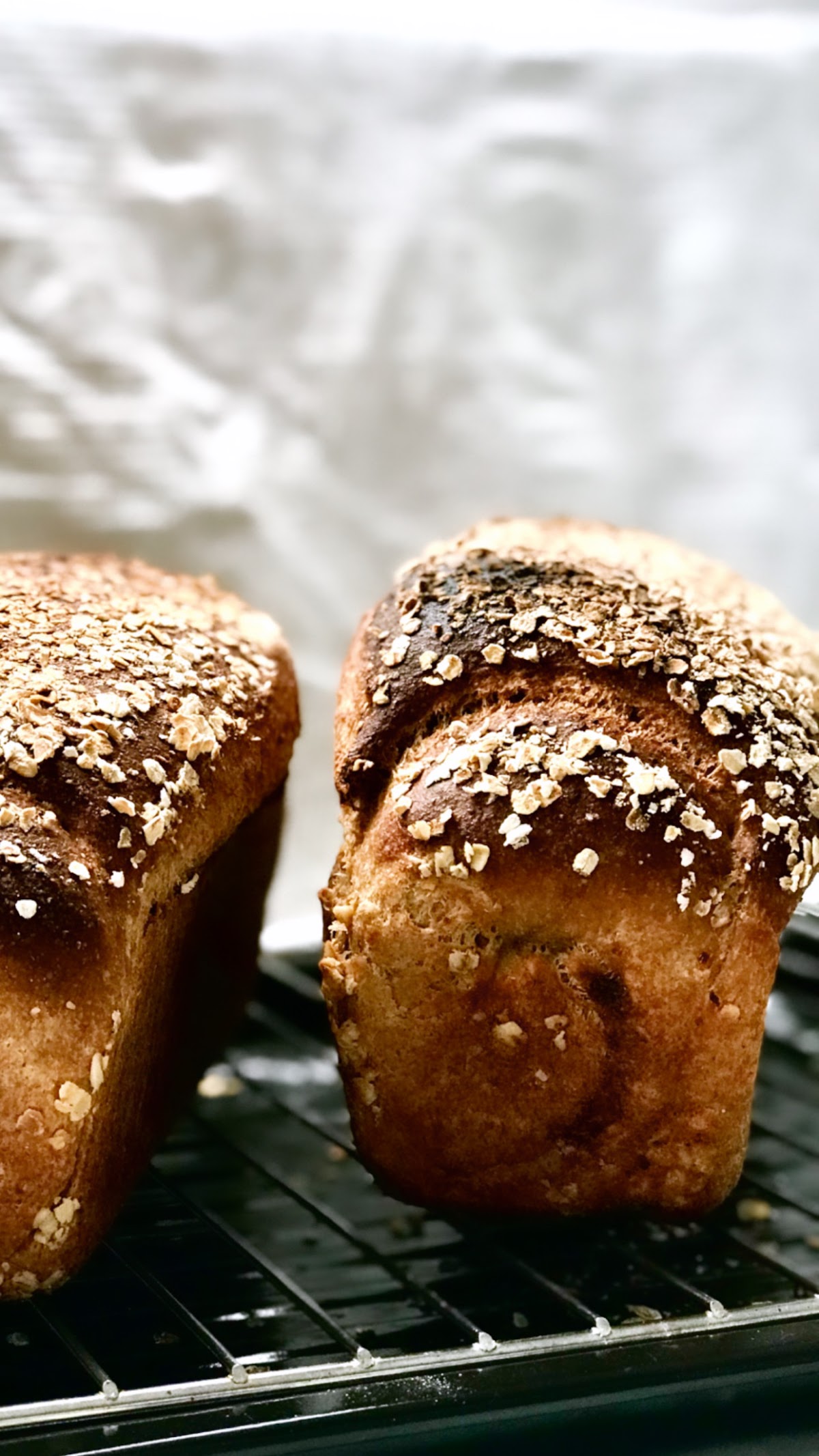 Bread and Oats — photograph 3
