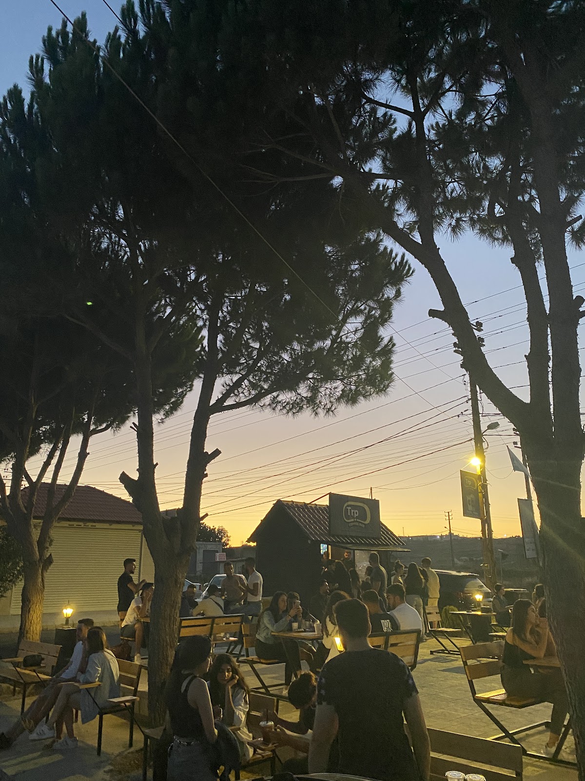 Trip Coffee Bar — photograph 5